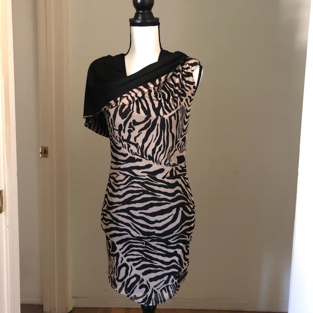 Zebra Blouse Or Mini Dress
